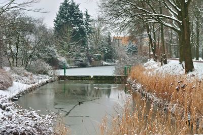 DSC_1903.jpg