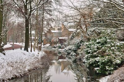 DSC_1904.jpg