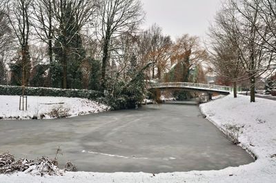 DSC_1906.jpg