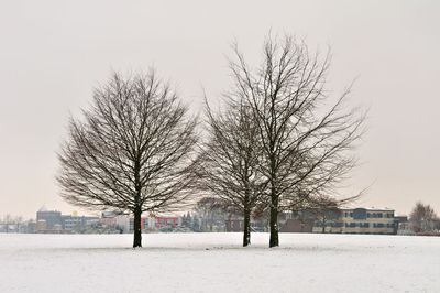 DSC_1913.jpg