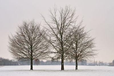 DSC_1917.jpg