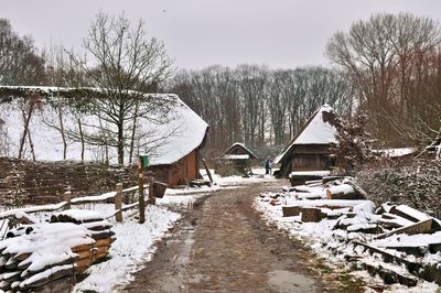 DSC_1971.jpg