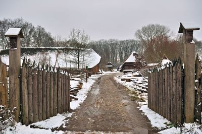 DSC_1972.jpg
