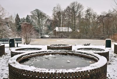 DSC_1975.jpg