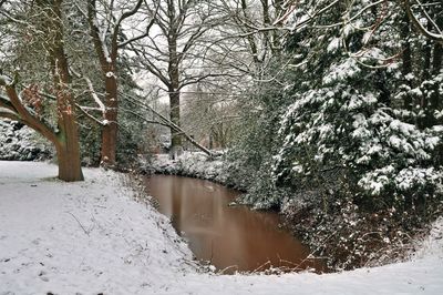 DSC_1984.jpg