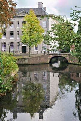 DSC_9850.jpg