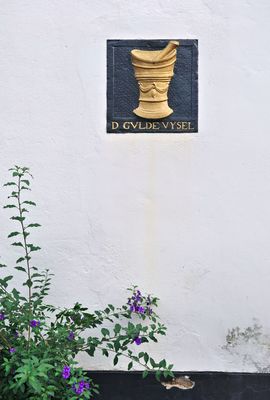 DSC_9854.jpg
