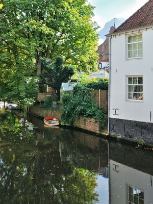 DSC_9871.jpg