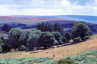 Dartmoor National Park