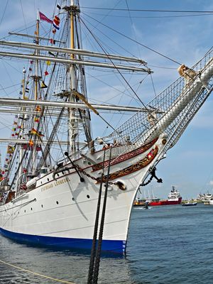 ACV_4420.jpg
