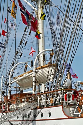 ACV_4425.jpg