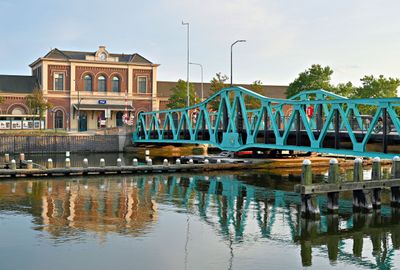 ACV_6482.jpg