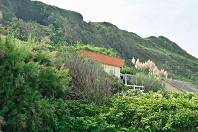 Vierville-sur-Mer, Omaha Beach