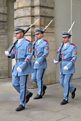 ACV_7879.jpg