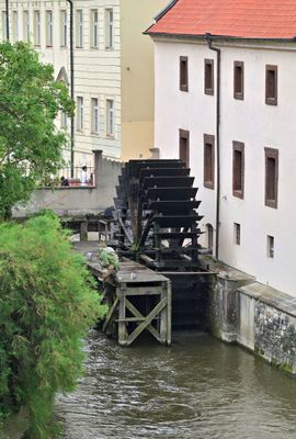 ACV_7960.jpg