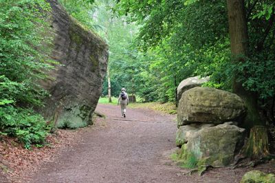 Bohemian Paradise