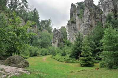 Bohemian Paradise
