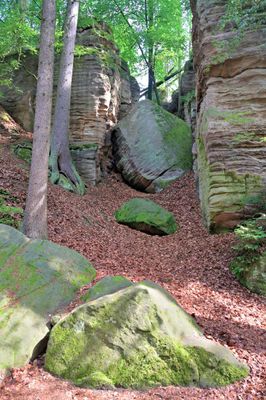 Bohemian Paradise