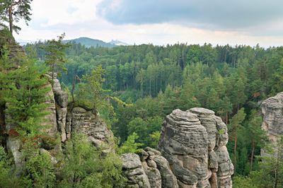 Bohemian Paradise