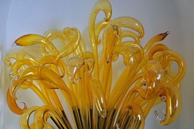 ACV_7333.jpg