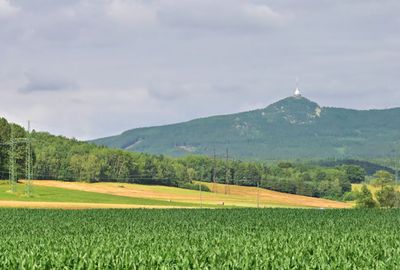 ACV_7648.jpg