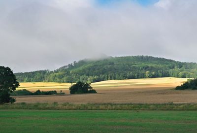 ACV_7656.jpg