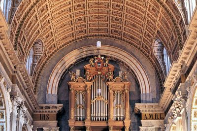 The Organ.