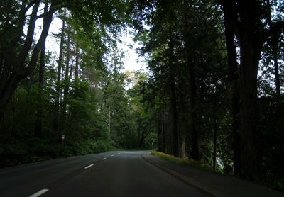 Stanley Park Drive P5314944 (3).jpg