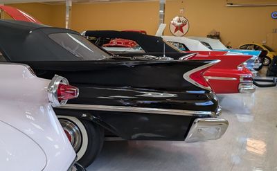 Tail fins.jpg