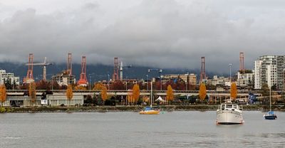 20241027_225937562 False Creek cranes boats.jpg