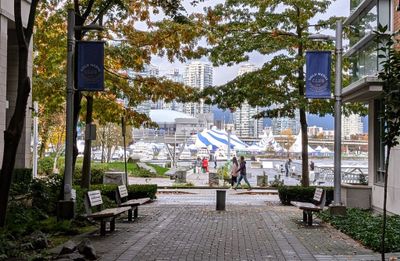 20241027_231001784 Walkway view.jpg