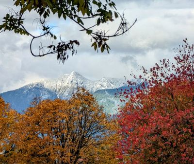20241031_211247511~3 snow on mountain.jpg