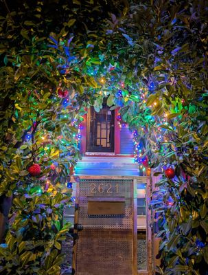20241202_062819394 SML Christmas hedge gate.jpg