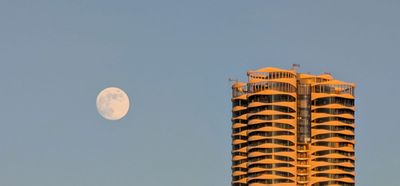 20250113_001550954 Butterfly Moon.jpg