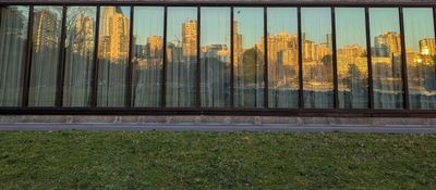 20250113_001358351 Window reflection Kits.jpg