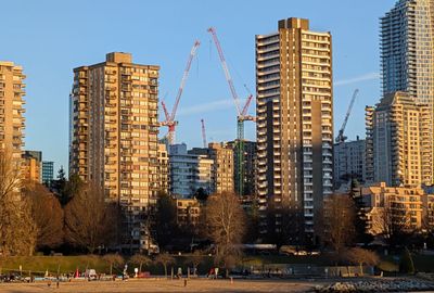 20250113_000224834 False Creek cranes West end.jpg