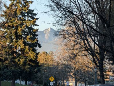 20250117_235752908 Fraser Park Mountain view.jpg