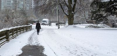20250203_222057012 Stanley Park snow.jpg