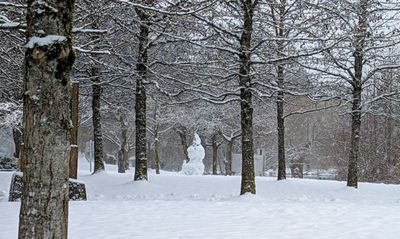 20250203_221307541 Snow Man lost lagoon.jpg