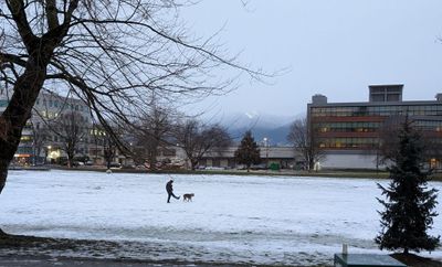 20250216_013853511 Park Snow dog.jpg