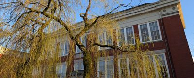 20250330_013659133 Tree School Strathcona.jpg