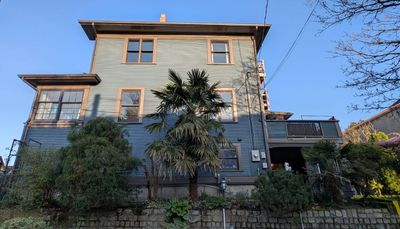 20250330_011447260 House Strathcona grey palm.jpg