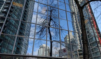 20250401_213101223 Reflections Melville St.jpg