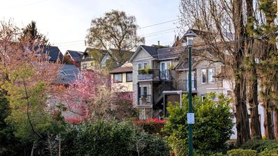 20250405_013914629 Houses rear trees.jpg