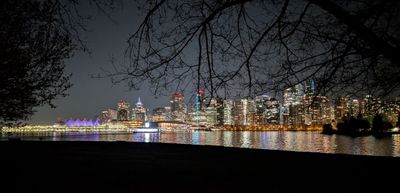 20250416_061611901 Vancouver skyline Stanley Park.jpg
