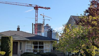 20250503_004810087 Kersland Drive cranes.jpg