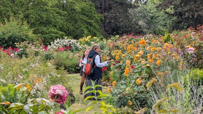 20250622_004454706 QE Park rose garden people.jpg