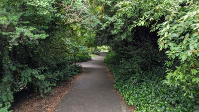 20250622_003845999 QE Park Path.jpg