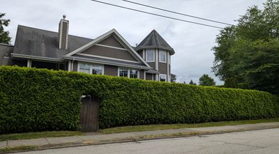 20250621_223005081 Hedge Fraser St.jpg