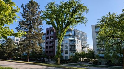 20250503_003135051 Cambie Street trees condos.jpg